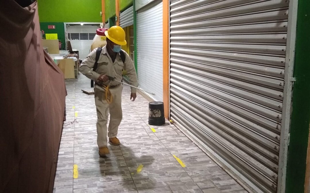 Llaman los SSO a sumar esfuerzos para prevenir Dengue, Zika y Chikungunya