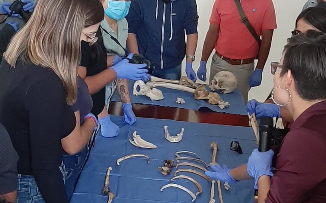 Universidad de Frankfurt capacita a personal multidisciplinario de la Fiscalía de Oaxaca a través de curso de fotografía forense