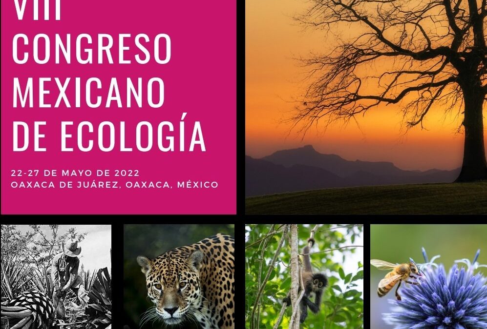 Oaxaca, sede del VIII Congreso Mexicano de Ecología