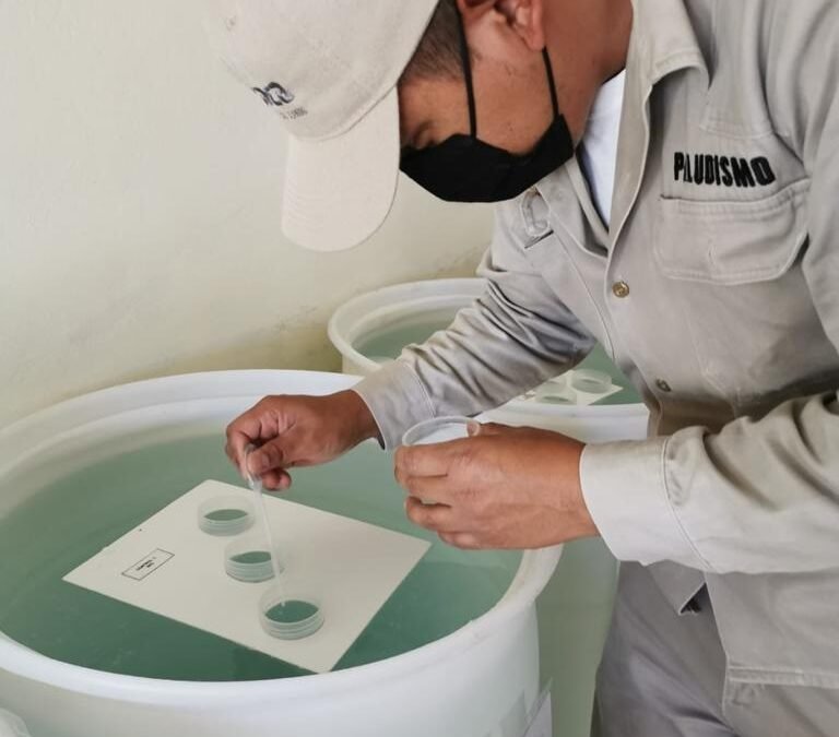 Fundamental participación comunitaria en acciones contra mosquitos: SSO