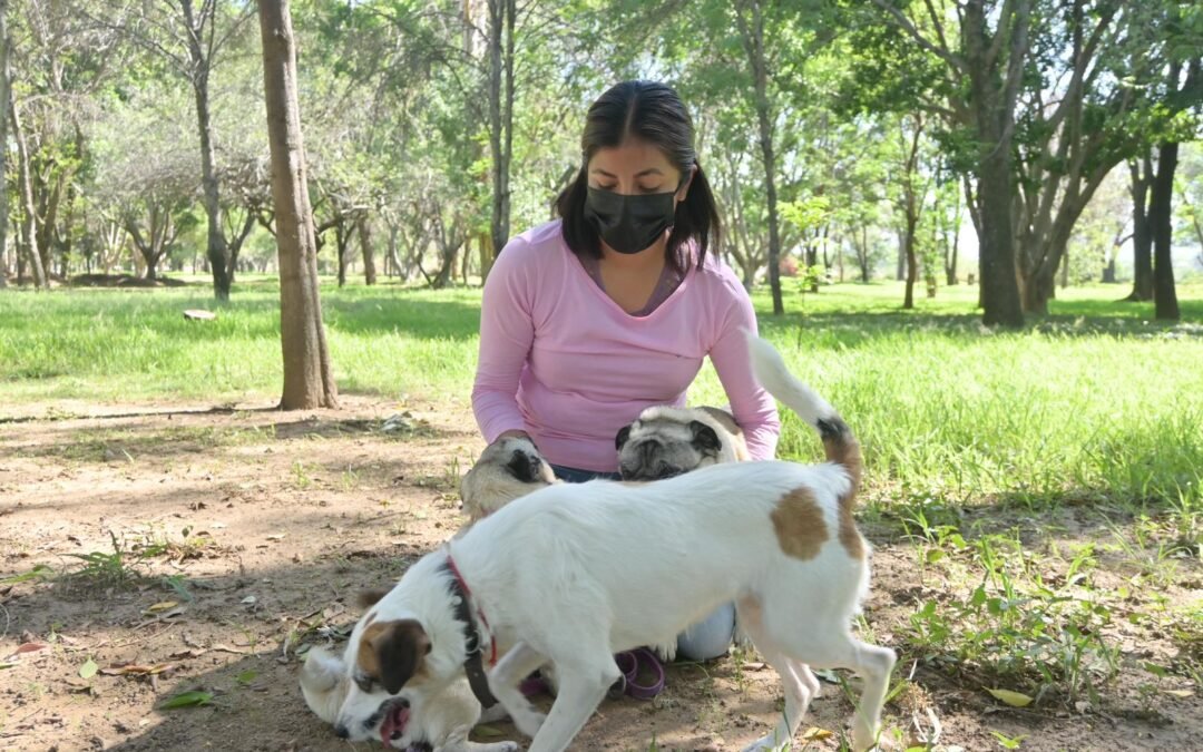 Cuatro parques públicos de Oaxaca ya son ¡Pet Friendly!
