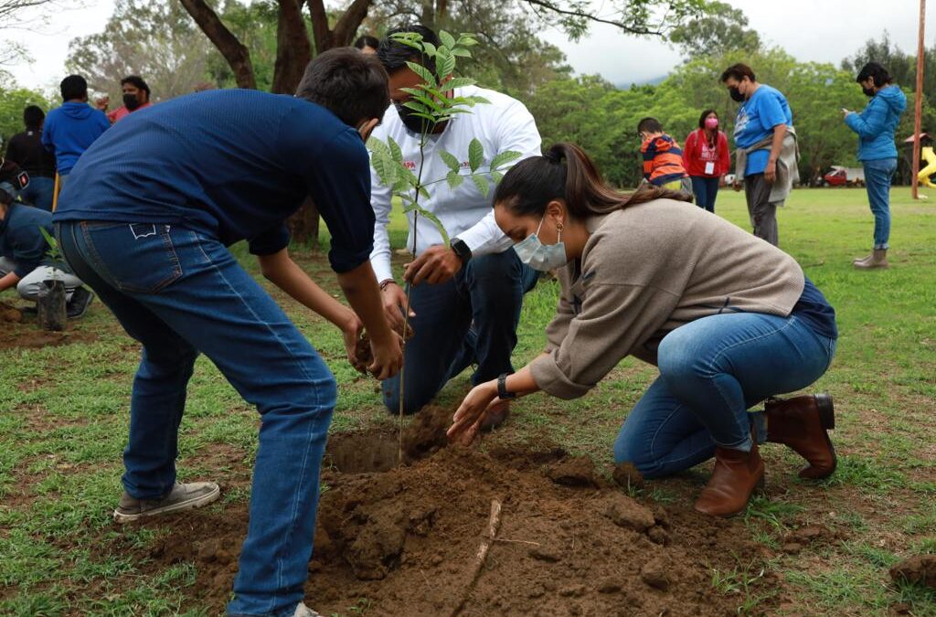 Realiza Secretaría de Administración Campaña de Reforestación en los Parques Públicos con más de 800 árboles