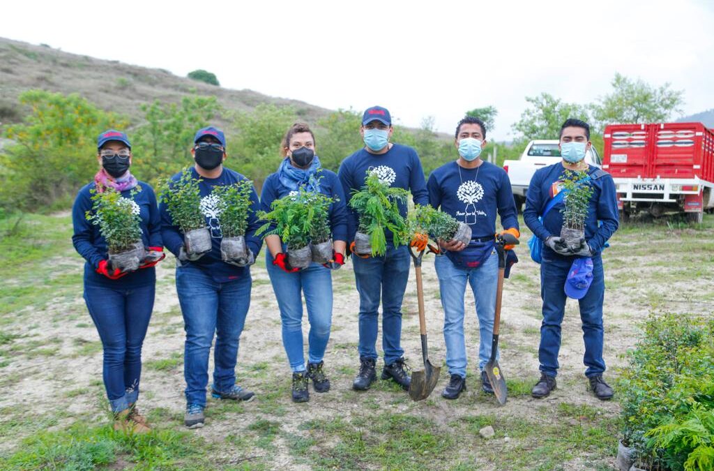 Conmemora Semaedeso el Día de la Riqueza Natural con reforestación