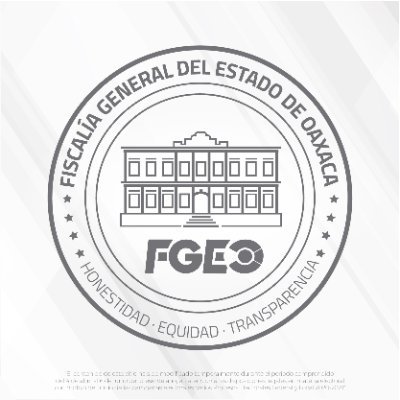 FGEO colabora en búsqueda y localización de adolescente desaparecida en Veracruz; salió de casa tras establecer contacto con otra persona a través de redes sociales