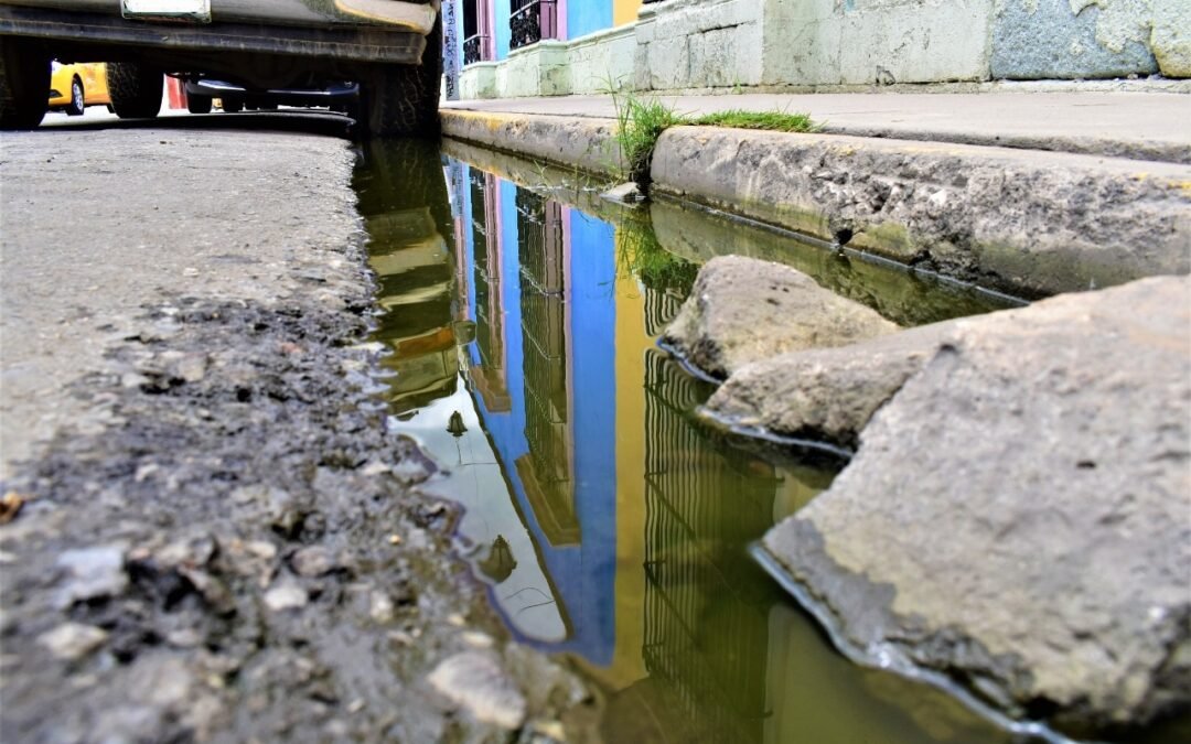 Exhortan SSO eliminar criaderos de mosquitos en casa, para prevenir el dengue, zika y chikungunya