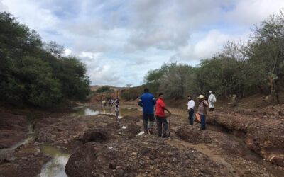 Informa CEPCO localización de personas que fueron arrastradas por río Tototaya
