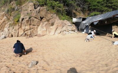 Cuenta Oaxaca con 17 playas aptas para uso recreativo: SSO