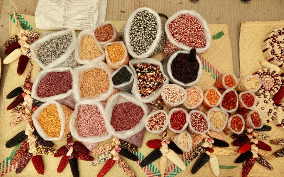 Gobierno de Oaxaca inicia combate de la pobreza alimentaria en 1.3 millones de personas