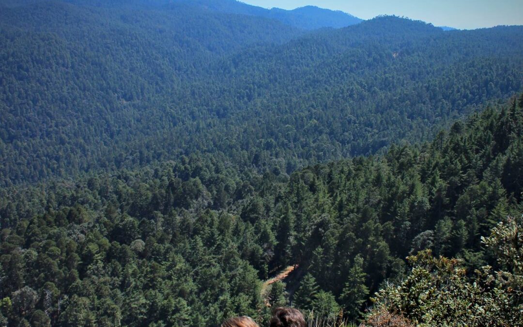 “San Isidro Llano Grande” es excelente lugar para el ecoturismo y Kent Mayoral con compromiso del Cuidado de Nuestro Medio Ambiente.