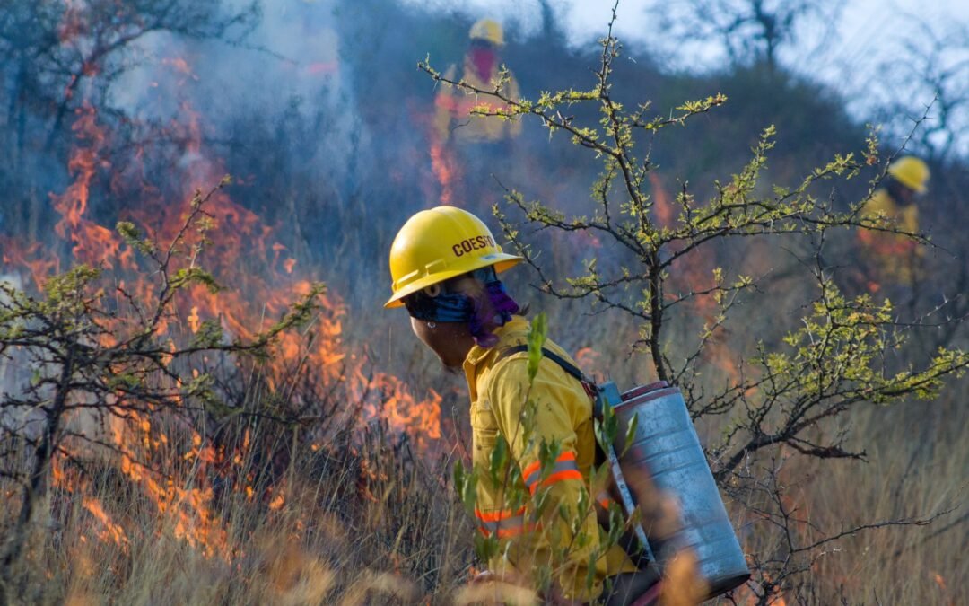 Gobierno de Oaxaca actúa para proteger la zona arqueológica de Yagul  y la población de jaguar