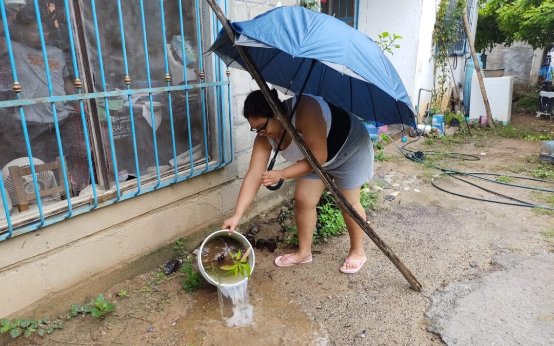 Exhortan SSO a extremar saneamiento básico en los hogares para evitar el dengue