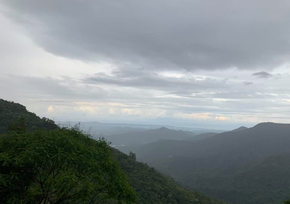 Luce en la Sierra Madre del Sur Santiago La Galera Loxicha, regresa del sueño americano Francisco Martínez Jacinto.