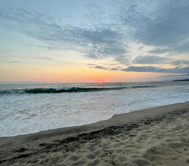 Avalan 15 playas oaxaqueñas aptas para uso recreativo  en esta Semana Santa: SSO