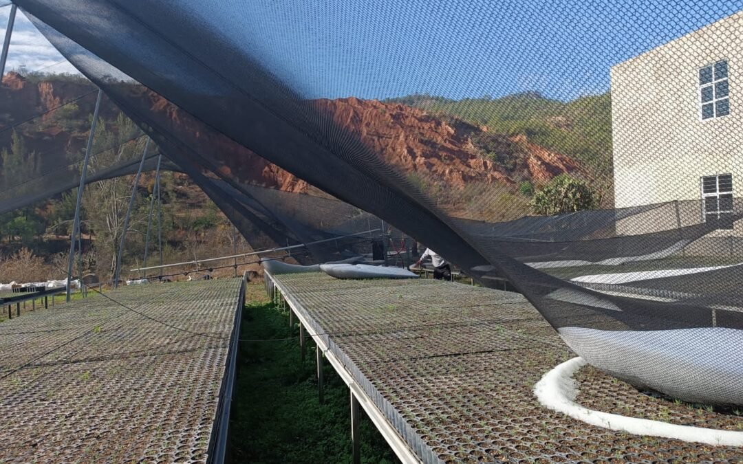 Atiende Coesfo daños provocados por fuerte granizada en vivero forestal de Magdalena Peñasco