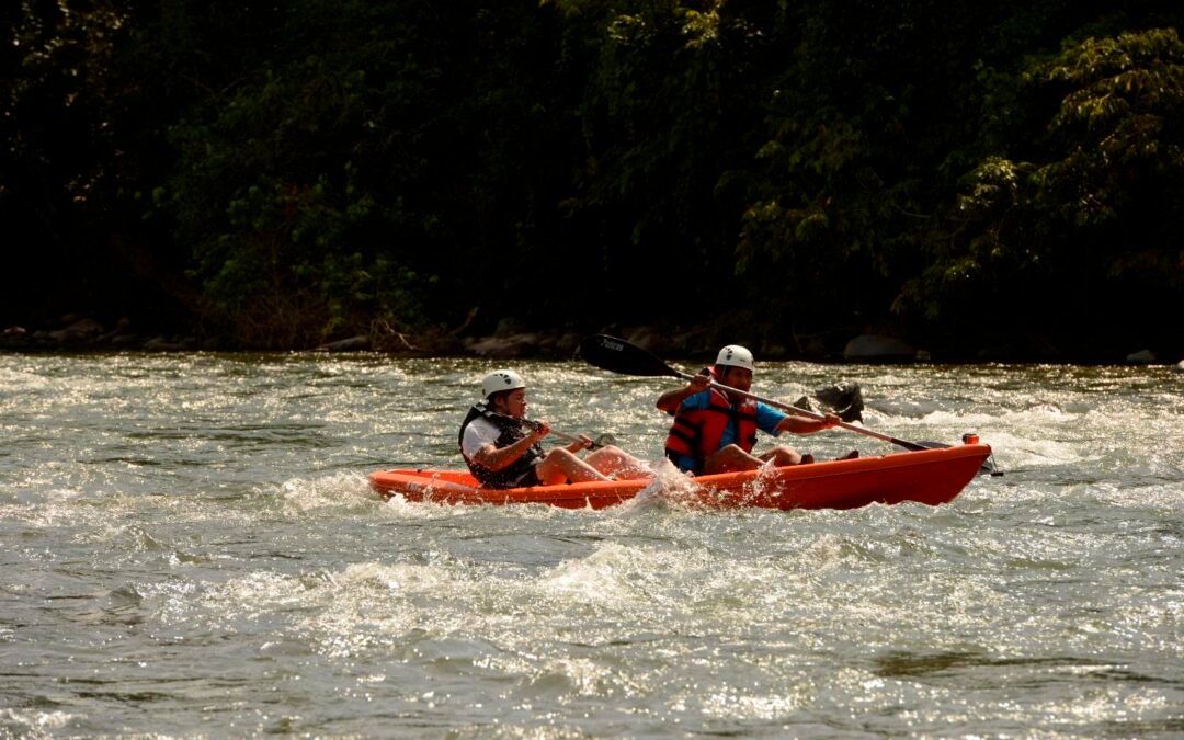 La Región del Papaloapan y el oaxaqueño Carlos Fuentes lleva a París su arte.