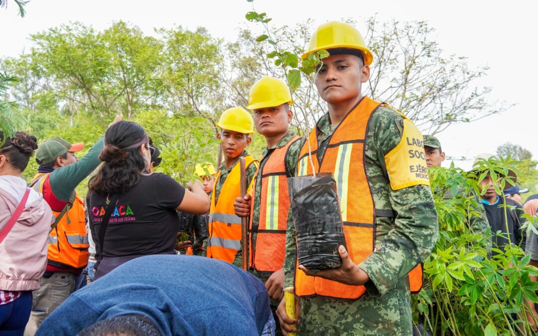 Una `Gozona´ la primera jornada de reforestación del Gobierno de Oaxaca en el Cerro del Fortín