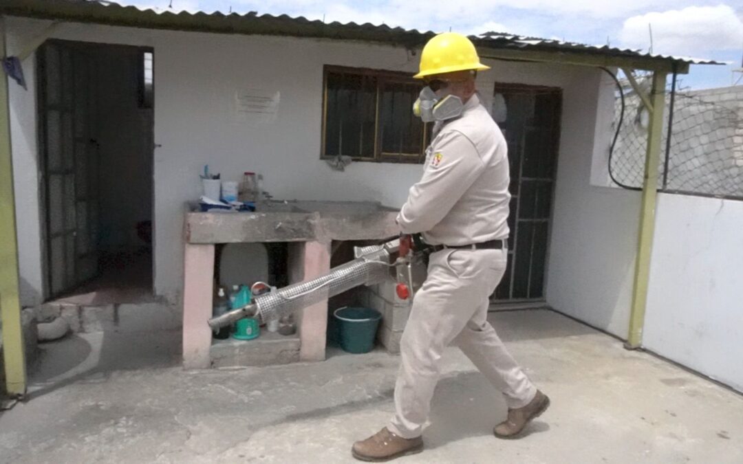 En riesgo epidemiológico alto 46 municipios por dengue: SSO