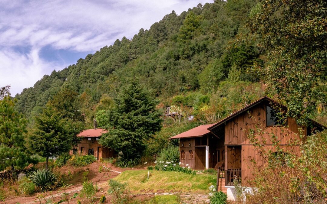 San Esteban Ozolotepec, un lugar rodeado de bosques y Alberto Santiago un Artista Plástico nato, que desea trascender, para que conozcan su arte.