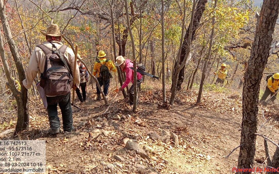 Notifica Coesfo control total en incendio de Santiago Lachiguiri