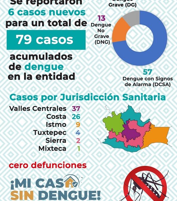 Limpieza en los hogares, fundamental para prevenir el dengue: SSO