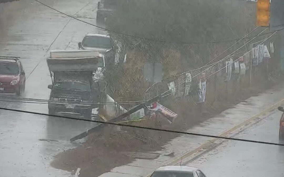 Lluvia en la capital oaxaqueña deja árboles caídos y cortes de energía eléctrica