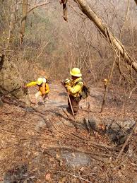 Atiende Coesfo reactivación de incendio en Tamazulápam del Espíritu Santo