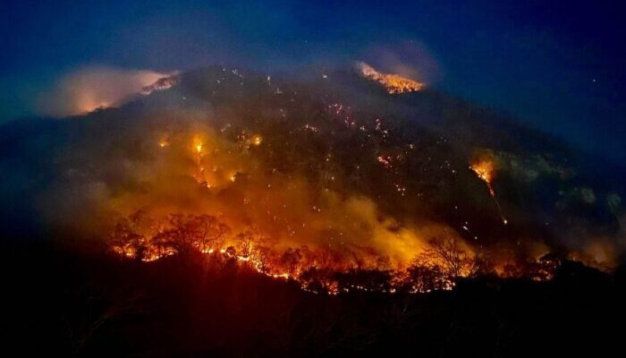 Atiende Coesfo incendios en la Sierra de Juárez y la Costa