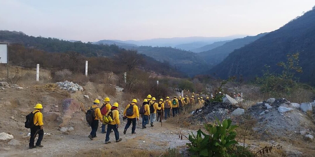 Reporta Coesfo 10 incendios forestales activos en la entidad