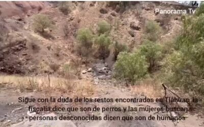 Supuesto crematorio clandestino en el cerro Xaltepec, #Tláhuac