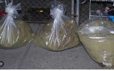 ASEGURA SSC 350 KIOS DE DROGA EN CALLES DE LA COLONIA MORELOS DE LA CDMX 