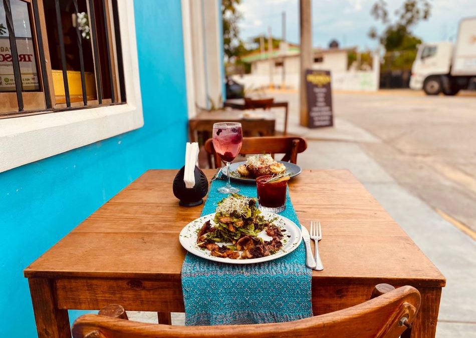 Visita Cascada de Reforma a 2 horas de Puerto Escondido y regresa a cenar con el Chef Maximiliano Fernández.