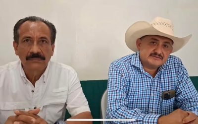 Invasión en #Salchi, #Pochutla provoca daño ambiental y conflicto social.