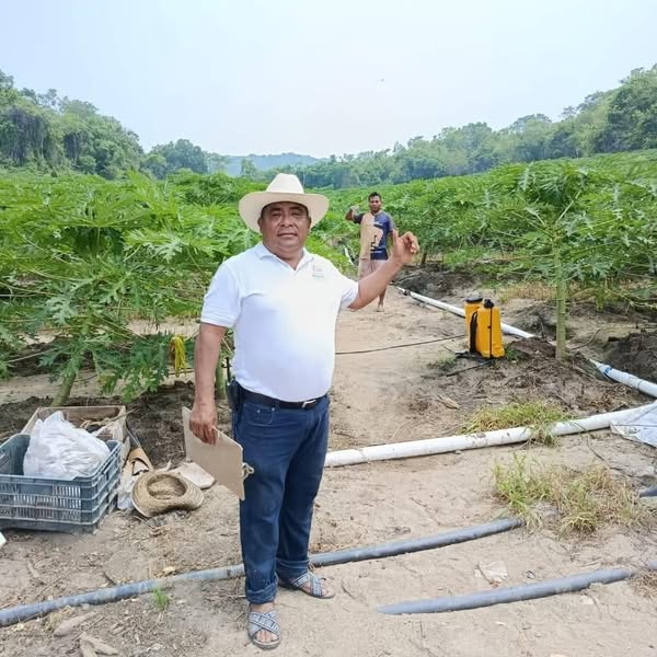 Avanza el censo en zonas productivas de Bajos del Arenal, Huatulco