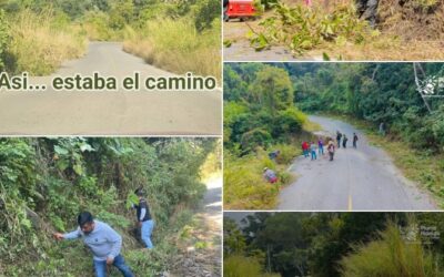 Limpian 16 km de carretera en tequio convocado por presidente de Pluma Hidalgo