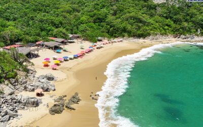 Estima Sectur Oaxaca derrama de 267 mdp en primer puente vacacional del 2026