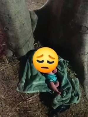 Abandonan a bebé recién nacida en un parque de #Huatulco