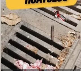 ¡El drenaje no es un basurero!