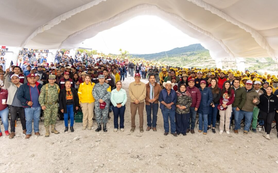 Vida y esperanza con la Primera Jornada de Mega Tequio de Reforestación en la zona chocho-mixteca