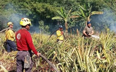 Atención a incendio forestal en Bajos del Arenal, Huatulco