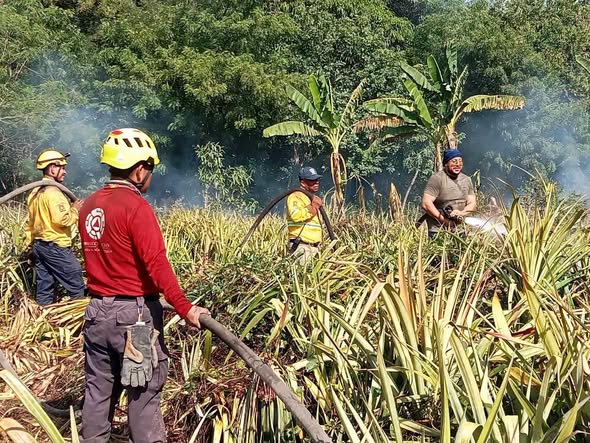 Atención a incendio forestal en Bajos del Arenal, Huatulco