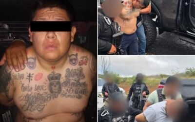 Se les pelo valtazar… Pero lo volvieron hagarrar Al Fresa