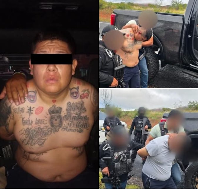 Se les pelo valtazar… Pero lo volvieron hagarrar Al Fresa